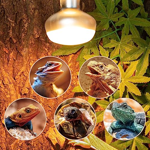 REPTI ZOO 2 Pack Heat Lamp 150W, Intense Basking Spot Simulated Natural Sunlight Heating Lamp Bulb, Heat Emitter UVA Heat Lamp Bulb for Reptile Chickens Pet Brooder - style: Natural Basking Light Bulb 150W