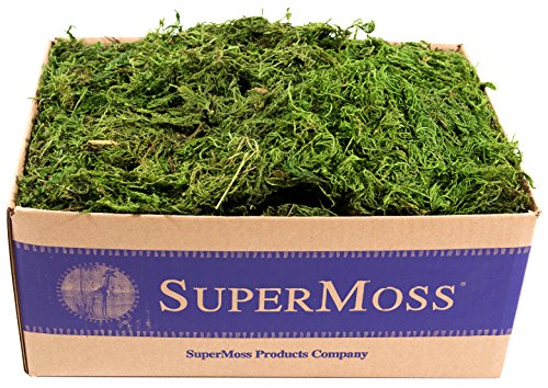 SuperMoss (25325) Forest Moss Preserved, Fresh Green, 3 Pounds - color: Fresh Green, size: 1,560 cu in
