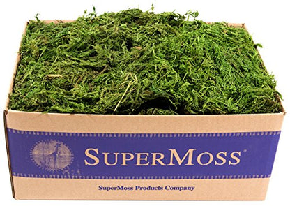 SuperMoss (25325) Forest Moss Preserved, Fresh Green, 3 Pounds - color: Fresh Green, size: 1,560 cu in