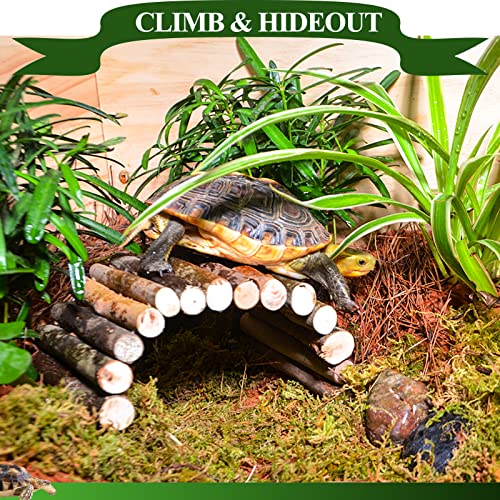 HERCOCCI Bearded Dragon Tank Accessories, 9Pcs Reptile Plants Vines Hammock | Flexible Bridge with Suction Cups Terrarium Habitat Décor for Snake Gecko Lizard Chameleon
