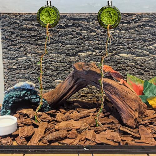 2 Pack Jumping Spider Hide Cave & Climbing Kit, Jumping Spider Accessories, Reptile Hide with Strong Magnet for Jumping Spiders, Tarantulas, Small Reptiles and Amphibians