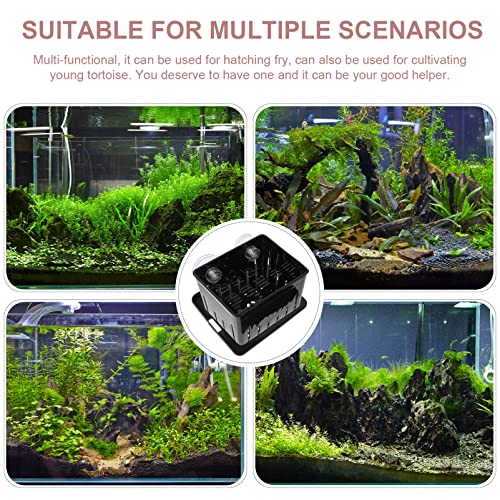 Toddmomy Turtle Supply Incubation Box Lizard Incubator Reptile Hatchery Professional Tortoise Separator Reusable Sturdy Easy to Install Unique Cover