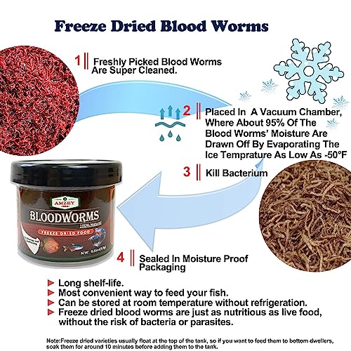 Amzey Blood Worms 0.35oz -100% Natural Freeze Dried Blood Worms - Aquarium Fish Food - High Protein Food for Betta Fish, Food for Goldfish, Cichlid, Guppy, Discus, Turtle - size: 0.35 Ounce (Pack of 1)