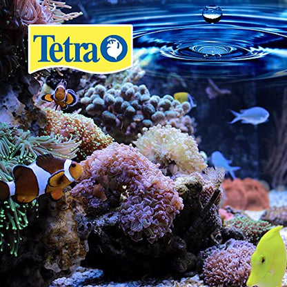 Tetra BettaSafe Water Conditioner for Betta Fish Tanks, 1.69 oz | Makes Tap Water Safe, Neutralizes Chlorine, Chloramines & Ammonia, Reduces Fish Stress, Works In Seconds, Use Monthly - size: 1.69-Ounce, 50-Ml