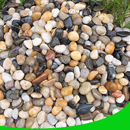 Pebbles for Plants 18 lb Natural River Rocks Garden Decorative Stones Outdoor Aquariums Gravel 1-1.5 Inches - size: 18LB, style: Colour
