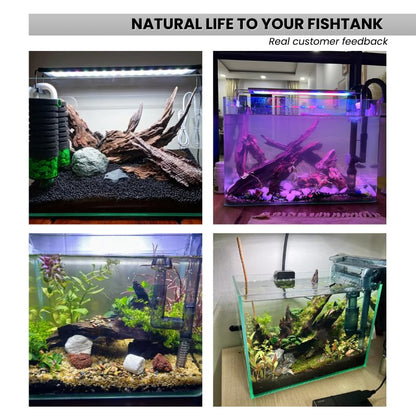 Natural Sinking Driftwood 2.2 lbs, 5-9 PCS, 6"-12" Premium Wood for Fish Tank Aquascaping, Aquariums, and Paludariums - Decorative Wood for Terrariums, Vivariums, Reptile Enclosures, and Gardens