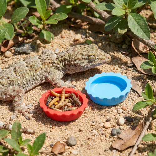 14 PCS Crested Gecko Food and Water Bowl, Gecko Feeding Bowls | Reusable Silicone Reptile Feeding Dish, Crested Gecko Tank Accessories for Tortoise Lizard Bearded Dragon Hermit Crab