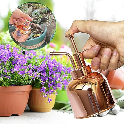Plant Mister Spray Bottle Stainless Steel Plant Sprayer, Small Watering can Plant Spray Bottle Modern Gardening Tools for Indoor Potted Plants Watering and Spraying - color: 10oz/ Rose Gold