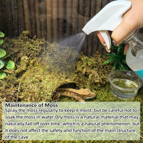 Tfwadmx 2Pcs Leopard Gecko Hide, Coconut Reptile Hides Cave, Snake Hideout Mossy Caves Climbing Hide Reptile Tank Decor for Lizard Gecko Hermit Crab