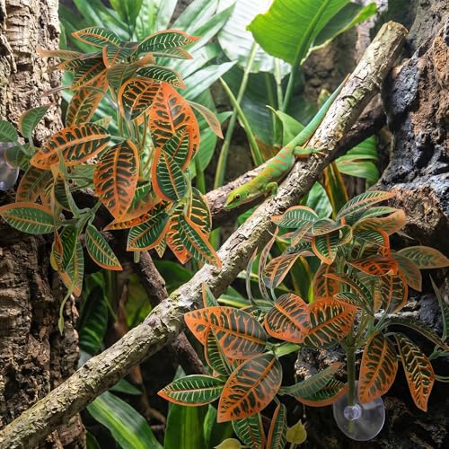 2 Pcs Reptile Plants Amphibian Habitat Decor Artificial Hanging Plants with Suction Cups Artificial Leaves for Terrarium Decor for Frogs Lizards Snake Bearded Dragons Geckos