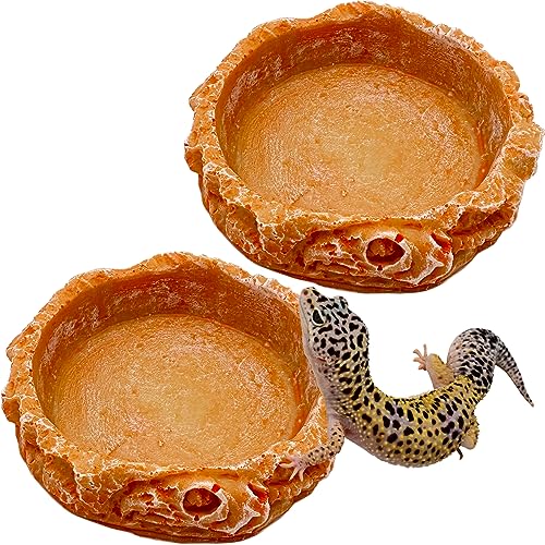 Small Reptile Water Dish Food Bowls, 2 Pack Reptile Feeding Dish for Hermit Crab Bearded Dragon Lizard Leopard Gecko Tortoise Frog - color: 2 PCS Round Bowls