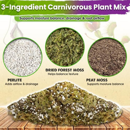 Carnivorous Plant Soil Mix, 3in1 Pre-Mixed & Ready to Use, 3 QT | Forest Moss, Peat Moss & Perlite, Balanced Moisture, Drainage & Airflow for Venus Flytrap, Pitcher Plant, Sundew & Butterwort - size: 3 Quarts