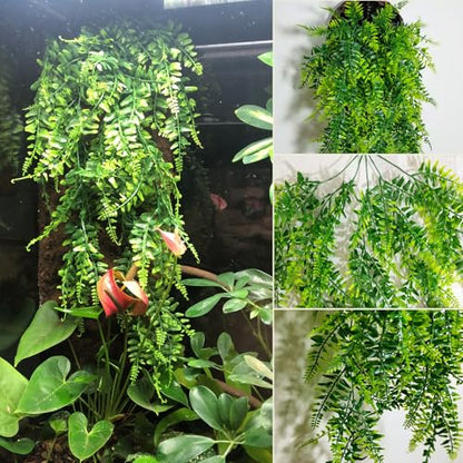 PINVNBY 10 PCS Reptile Plants Vine, Terrarium Hanging Flexible Climbing Artificial Leaves Reptile Hide, Bearded Dragon Tank Accessories, Terrarium Decor for Leopard Gecko Lizard Snake Geckos - size: 10PCS