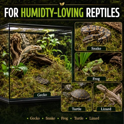 Sukh Sphagnum Moss for Reptiles - Green Terrarium Moss Substrate, 5oz | Habitat Bedding for Gecko, Snake, Turtle, Frog, Bearded Dragon, Jumping Spider, Chameleon, Enclosure & Tank Accessories Decor - size: 5 Ounces