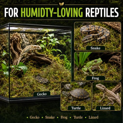 Sukh Sphagnum Moss for Reptiles - Green Terrarium Moss Substrate, 5oz | Habitat Bedding for Gecko, Snake, Turtle, Frog, Bearded Dragon, Jumping Spider, Chameleon, Enclosure & Tank Accessories Decor - size: 5 Ounces