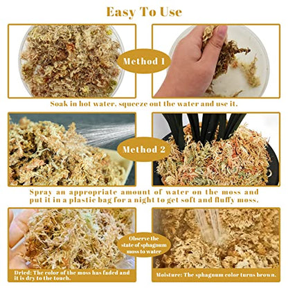 2.2LB Sphagnum Moss for Plants- 40QT Natural Long Fibers Orchid Moss | Moisture Retention & Drainage Balance, Plant Moss for Orchids, Succulents, Carnivorous, Ferns, Reptile Bedding & Terrariums - size: 40 QT(2.2 lb)