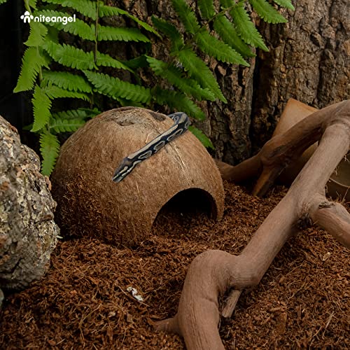 2 Pack Natural Coconut Reptile Hideouts, Lizard, Spider and Aquarium Fish Hide Cave (Natural Surface) - color: Natural Surface
