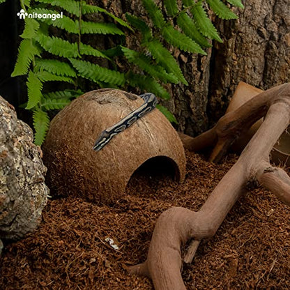 2 Pack Natural Coconut Reptile Hideouts, Lizard, Spider and Aquarium Fish Hide Cave (Natural Surface) - color: Natural Surface