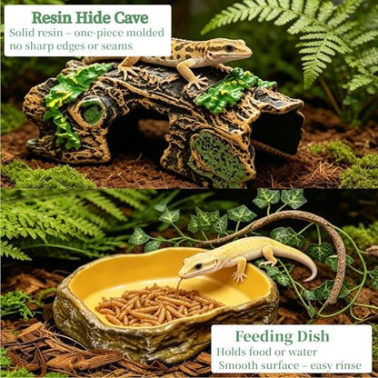 Bearded Dragon Tank Accessories, Terrarium Decor, Ball Python | Leopard gecko,Crested gecko, Chameleon cage accessories,Terrarium plants,Reptile decor,Starter kit,Snake decor,Hermit crab