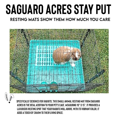 Saguaro Acres Rabbit and Small Animal Cage Resting Mat for Wire Floored Cages 2 Pack (Teal) - color: Teal