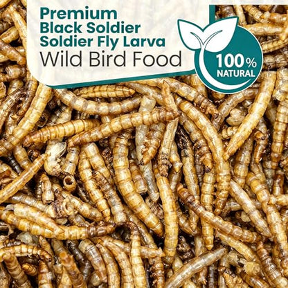 Dried Black Soldier Fly Larvae Chicken Feed 100% Natural Non-GMO, No Additives, Treat for Chickens, Reptiles and Birds, More Calcium than Mealworms for Wild Birds, Ducks, Laying Hens (2.5LBS)