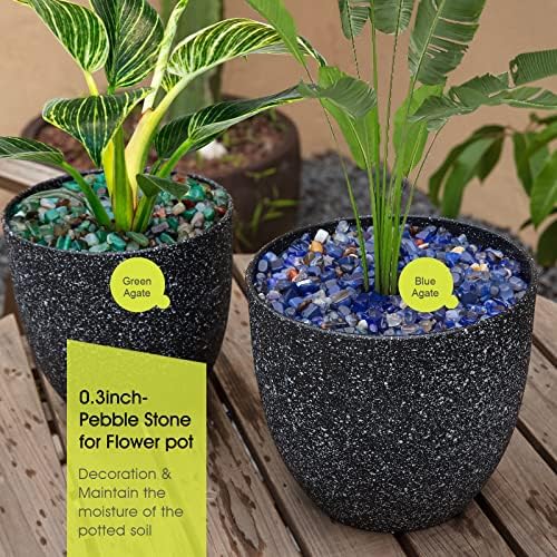 RIFNY Decorative Polished Rocks, 0.3" Gravel Rocks Crushed Crystal for Plant Flower Pots Succulents Cactus Bamboo Plant Vase Filler Aquarium Fish Tank Decorations and DIY Craft (1.5 LB, Green) | for Plant Flower Pots Succulents Cactus Plant Vase Filler Aq