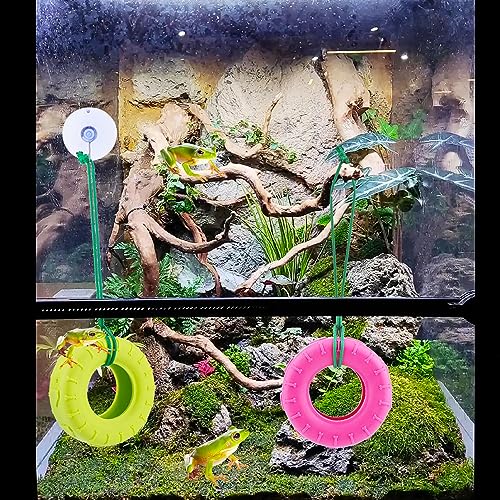 DQITJ 2 Pack Tree Frog Tire Swing with Suction Cup Hook Climbing Toy for Tree Frog Reptile Amphibian Small Aquatic Animals