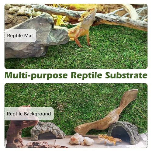 Reptile Carpet Cuttable Terrarium Mat Artificial Moss Reptile Liner Green Substrate Flooring Bearded Dragon Tank Accessories for Leopard Gecko Lizard Snake Tortoise (11.81" x 70.87") - size: 12" x 71"
