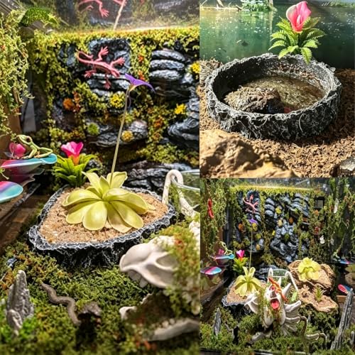 Reptile Water Dish Food Bowl,Corner Rock Terrarium Feeding Bowl Hermit Crab Water,Reptile Feeder Food and Water Dish,Tortoise, Lizard, Gecko, Chameleon, Bearded Dragon