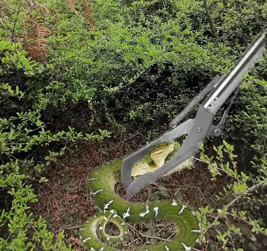 60" Professional Snake Grabber Tongs，Stainless Steel Snake Tongs with Collapsible Wide Jaw, Reptile Handling Tool, Snake Catcher