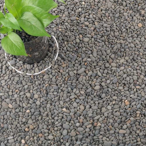 CJGQ 18lb Aquarium Gravel for Plants, Decorative River Rocks Pebbles for Succulents Cactus Outdoor Garden Landscaping, Natural Small Drainage Rocks Gravel for Fish Tank Vases Terrarium - color: Black-Small, size: 18lb