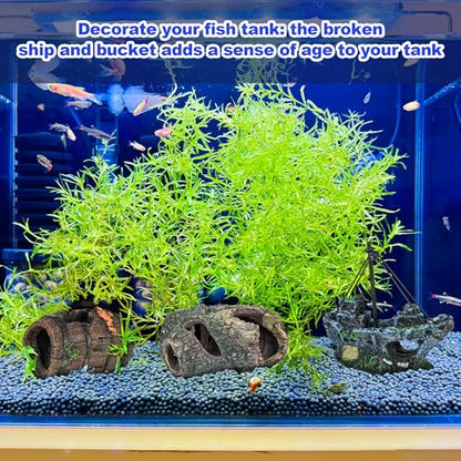 AmaQueen 3 Pcs Fish Tank Decorations, Aquarium Decor Ornaments, Betta Fish Axolotl House Hideout Cave Stuff Accessories, Set of 3 Resin Hollow Tree Trunk, Starfish Barrel, Shipwreck Ship (3)