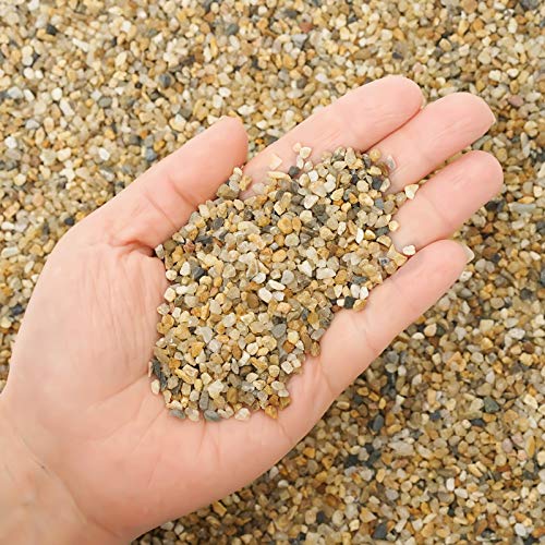 Coarse Sand Stone - Succulents and Cactus Bonsai DIY Projects Rocks, Decorative Gravel for Plants and Vases Fillers，Terrarium, Fairy Gardening, Natural Stone Top Dressing for Potted Plants. - size: 2 LB