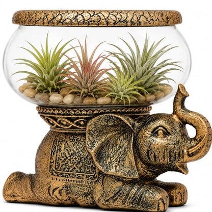 Good Luck Elephant Terrarium Bowl, Antique Gold | Elephant Figurine with Removable Glass Bowl, Succulent Planter, Candle Holder, Air Plant Display, Zen Home Décor Accent - color: Gold Antiqued Elephant Glass