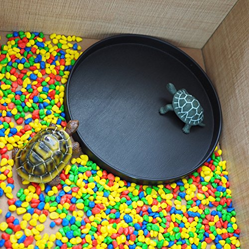 OMEM Reptile Food Bowl Water Dish,Feeding Dish, Birds Bowl (L, Black) - color: Black, size: L