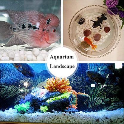 Aquarium Decorative Sands White Gravel Pebbles, 2 Pounds | Fit for Aquariums, Succulent Plants, Terrarium Landscape