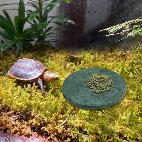 Reptile Basking Platform, 5.9 inch Natural Marble Tortoise Feeding Slate, Rock Food Bowl for Turtle Lizard Bearded Dragon Gecko Snake Hermit Crab, Tank Aquarium Terrarium Habitat Decor