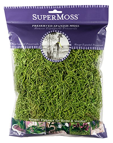 SuperMoss (26907) Spanish Moss Preserved, Grass, 4oz, 120 cubic in Bag (Appx. 4oz) (7 59834 26907 6) | Decorative Moss for Crafts, Potted Plants & Fairy Gardens, Vase Filler & Floral Arrangements, Indoor/Outdoor Garden Projects