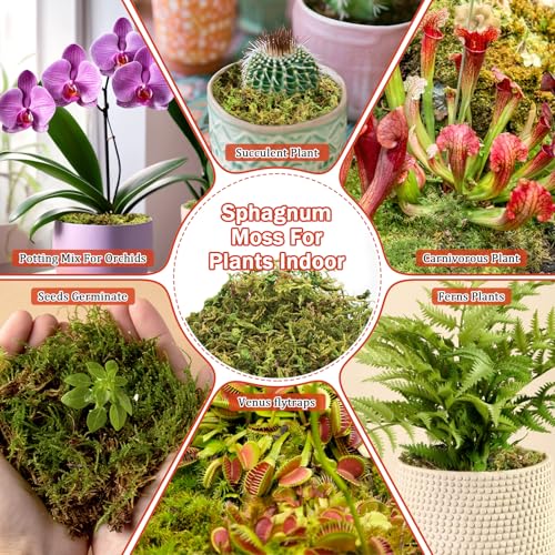 Riare 3.88OZ Premium Sphagnum Moss for Plants- 4QT Natural Dried Plant Moss | Moisture Retention & Drainage Orchid Moss for Repotting, Succulents, Carnivorous, Ferns, Green Moss for DIY Craft, Reptiles - size: 4 QT(Appx.3.88oz)