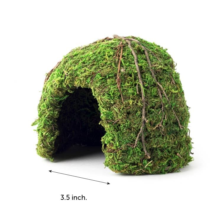 Galapagos (05366 Mossy Dome Hide, 6 in, Galápagos Green
