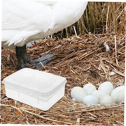 GALPADA Egg Incubator for Reptiles Reptile Hatching Box for Tortoise Lizard and Quail Eggs Observation Window