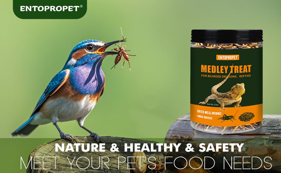 Dried Mealworms & Crickets Medley Treat for Bearded Dragons 5oz | High calcium,rich protein,for turtles,tropical fish,birds,freeze dried crickets,premium quality,additive free - size: 5 Ounce (Pack of 1)