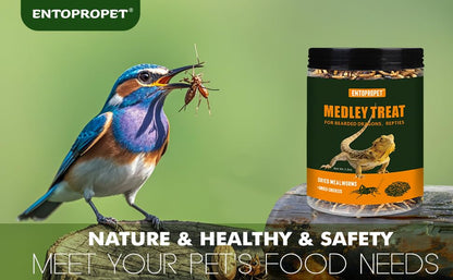 Dried Mealworms & Crickets Medley Treat for Bearded Dragons 5oz | High calcium,rich protein,for turtles,tropical fish,birds,freeze dried crickets,premium quality,additive free - size: 5 Ounce (Pack of 1)