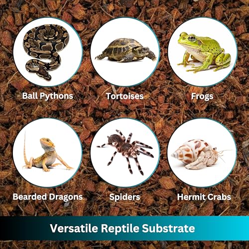 Premium Coconut Chip Substrate for Reptiles | 10 lb Compressed Block Expands up to 72 Quarts | Natural Bedding for Ball Python, Tortoise, Bearded Dragon Habitats