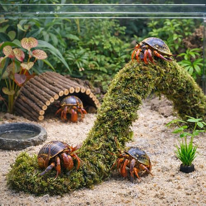 Mechpia Hermit Crab Accessories, Hermit Crab Climbing Toys Bendable Bridge Coconut Shell Hideout Hut Plants for Reptile Amphibians Supplies