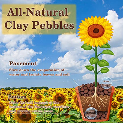 2LB Leca Clay Pebbles for Plants, 4mm-16mm Clay Balls for Hydroponic | Drainage, Reusable, Aeration, Moisture Retention, Lightweight, Natural Leca for Orchids, Succulents, Terrariums, Aquaponics - size: 2LB
