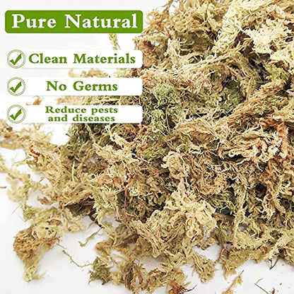 4QT Sphagnum Moss for Plants - 3.5OZ Natural Long Fibers Orchid Moss | Moisture Retention & Drainage Balance, Plant Moss for Orchids, Succulents, Carnivorous, Ferns, Reptile Bedding & Terrariums - size: 4 QT(3.5 oz)