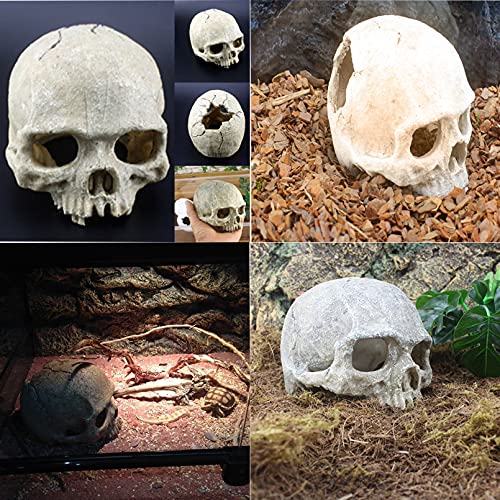 Tfwadmx 11Pcs Human Skull Decor with Plants, Snake Hide, Gecko Tank Accessories, Resin Skull with Climbing Vines Reptile Terrarium Tank Decor for Tarantulas, Lizards