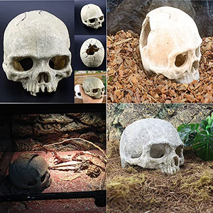 Tfwadmx 11Pcs Human Skull Decor with Plants, Snake Hide, Gecko Tank Accessories, Resin Skull with Climbing Vines Reptile Terrarium Tank Decor for Tarantulas, Lizards