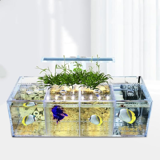 Acrylic Aquarium, 4 Grids Clear Fish Tank, Fancy Fish Tank with Led & Isolation Board, 4 Grids Polyculture Fishbowl with Holes Cover & Bottom Plate, for Home, Office, Fish, Shrimp, Turtles, Crabs